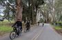 Behind-the-Scenes Food and Wine E-Bike Tour