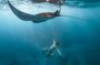 Nusa penida senorkeling with Manta