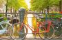 Amsterdam City Center Guided Walking Tour Semi-Private 12ppl Max
