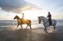 Horseback Riding in Djerba Lagoon