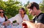 Gastronomy tour and wine tasting in traditional villages
