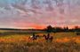 Champagne and Charcuterie Sunset Trail Ride