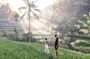 The Highlight of Ubud and Hidden Waterfall - Fullday Day