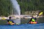 4-Hour Kayak on Yellowstone Lake with Lunch