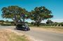EcoVine Explorer Vineyard E-Cart Tours