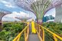 Singapore Instagram Private Walking Tour (Private & All-Inclusive)