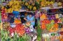 Shared Cuenca Markets Full Day Tour