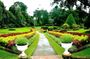 Colonial Tour of Kandy Tea Empire & British History by Tuk Tuk