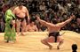 Official Sumo Tournament Ticket with Guided Experience in Tokyo