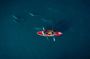 Guided Kayak 2 Hours Activity with Dolphins
