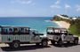 Island Safari Discovery