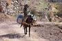 Day tour in high Atlas mountains