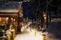 Hokkaido Tour, Asahiyama Zoo, Christmas Tree and Biei Green Pond