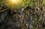 Full-Day Koh Ker & Beng Mealea Join-in Tour from Siem Reap