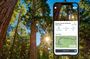 Kings Canyon National Park Self-Guided Audio Tour