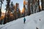 Private Snowshoe Adventure - Sequoia National Park