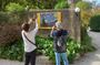 In the footsteps of Van Gogh in Provence from Avignon