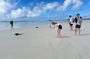Private Santa Cruz Tour: Tortuga Bay & Charles Darwin Station