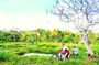 Yogyakarta Cycling Tour Around the Villages and Fish Farm