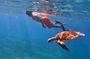 Aruba Turtle Snorkeling Private Tour with Underwater Footage