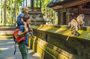 Ubud Highlights Tour: Nature, Culture & Sacred Temple Experience