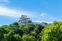 Become Samurai & Princess – Private Castle Photoshoot in Wakayama