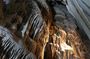 The Grutas de Garcia & Town (Cablecar Ticket + Premium SUV)