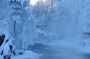 Oulanka National Park Private Winter Walk