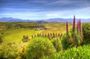 Full-Day Wine Gourmet and Scenic Delight Tour of Marlborough from Blenheim