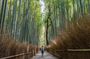 T1 Kyoto Arashiyama: Zen, Nature & Riverside Walking Tour