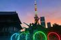 Tokyo: 2-Hour Night E-Bike Tour of the City's Hidden Gems