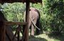 10 Day Western Uganda Budget Wildlife Safari