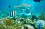 Discover Nha Trang Bay: Sea Walk & Traditional Vietnamese Seafood