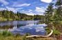 Full day Private tour of the Lake District