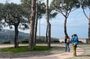 2 Hours Tour: From the Hills to the Sea of Sorrento
