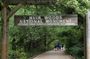 Muir Woods and Sausalito Tour Entrance Fee Included
