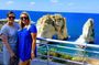 Private Beirut City Tour | Half Day · 10 Landmarks from Hotel