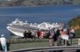 Dunedin Nature & City Tour – Full Day Cruise Excursion