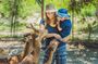 Nara Personalized Half Day Tour with a Local Guide