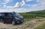 Private Day Trip from Paris to Reims and the Champagne Region