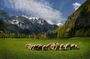 Logarska valley | Private trip from Ljubljana