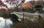 An Epic Scavenger Hunt: New York City Central Park Adventure