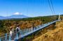 Mt Fuji Mishima Skywalk Shine Muscat Picking and BBQ