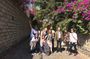 San Angel Mexican Food Tour