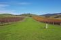 Luxury Private & Customised Yarra Valley Wine Tour