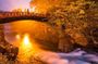 Vip | Nikko Signature Tour | Private Luxury from Tokyo