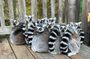 Private 14-Day Classic Route Tour in Madagascar