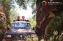 Algarve: 4x4 Adventure, Flamingos, Salt Pans & Local Tasting