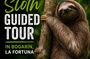 Sloth and Nature Walk : Bogarin Sloth Trail