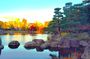 Nagoya: Tokugawa Garden and Nagoya Castle Samurai Heritage Tour